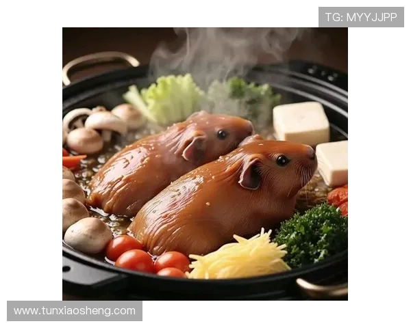 皇家国际的美食传奇：体验世界各地的美味佳肴