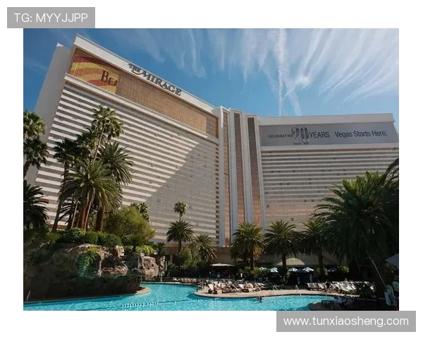 史蒂芬永利在金融领域的创新与影响分析