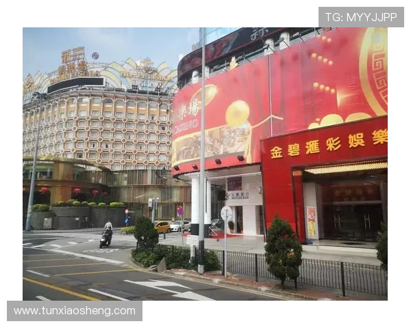 探索澳门金碧汇彩游乐场丰富多彩的游乐项目与极致娱乐享受