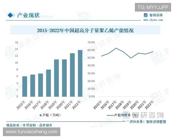 新濠国际发展：引领亚洲娱乐产业新格局的战略布局与未来展望