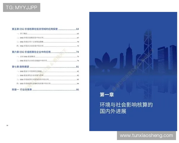 汇彩控股有限公司香港上市对股东权益保护与公司治理结构的提升作用