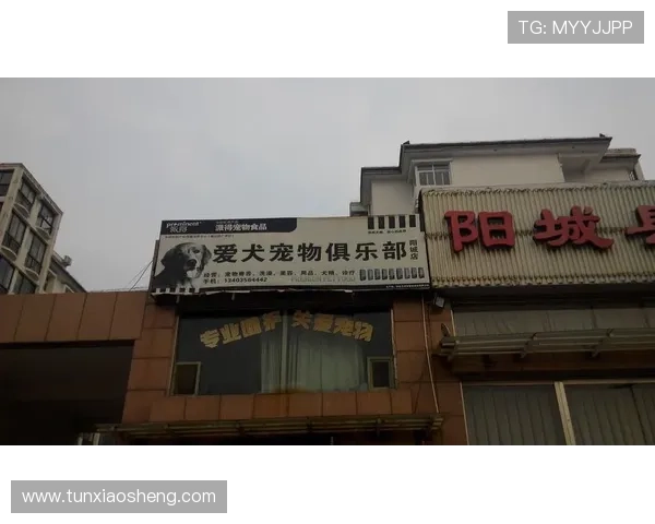 大阳城地址平台官方入口地址详细介绍及常见问题解决方案