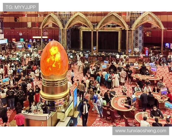 澳门娱乐场最新优惠信息汇总让你享受高品质娱乐体验不再错过