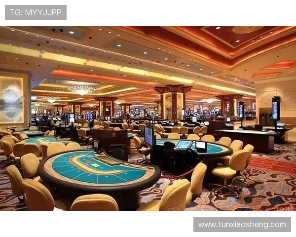 澳门新濠天地赌场安全保障措施详解，保障玩家权益的可靠平台