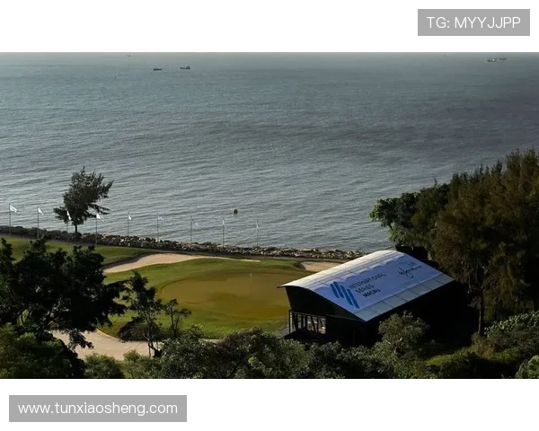 澳门新濠天地娱乐场：感受国际级娱乐盛宴与高端服务的完美融合体验