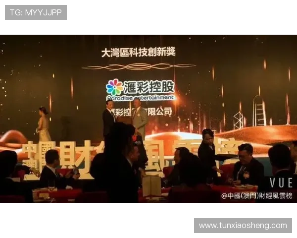 澳门汇彩控股在行业中的发展历程与核心竞争力深度剖析